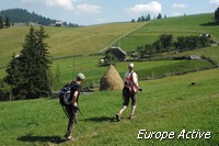 hiking romania piatra bucovina